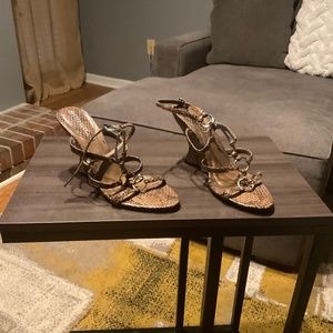 Brown and Black Snake skin